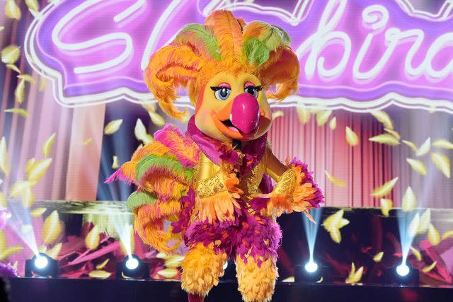 <p>Michael Becker/FOX</p> Showbird on 'The Masked Singer'