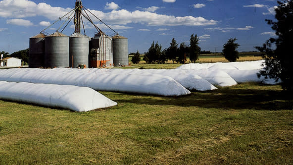 Las primeras reacciones del campo fueron de escepticismo: los dirigentes creen que los productores optarán por seguir guardando la soja en silobolsas y hacer ventas escalonadas