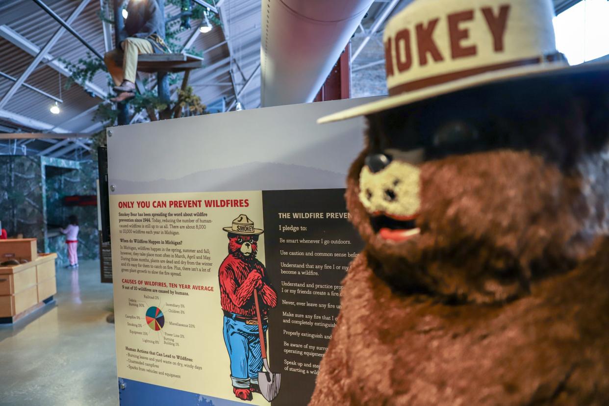 Smokey Bear, who informs people about the danger of wildfires, is celebrating his 75th anniversary Friday. Sites in Michigan and across the nation will be commemorating the milestone.