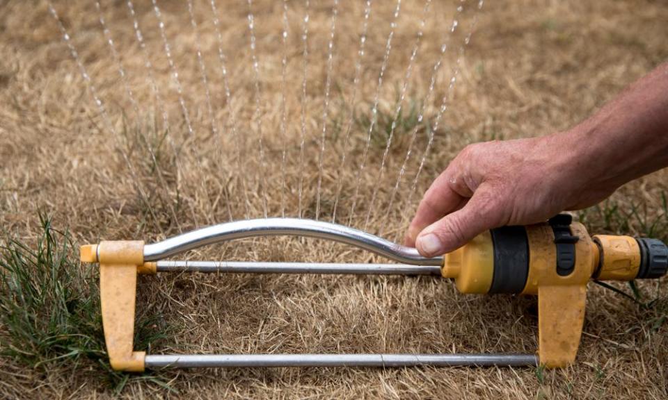 A man adjusts a hosepipe sprinkler in a garden