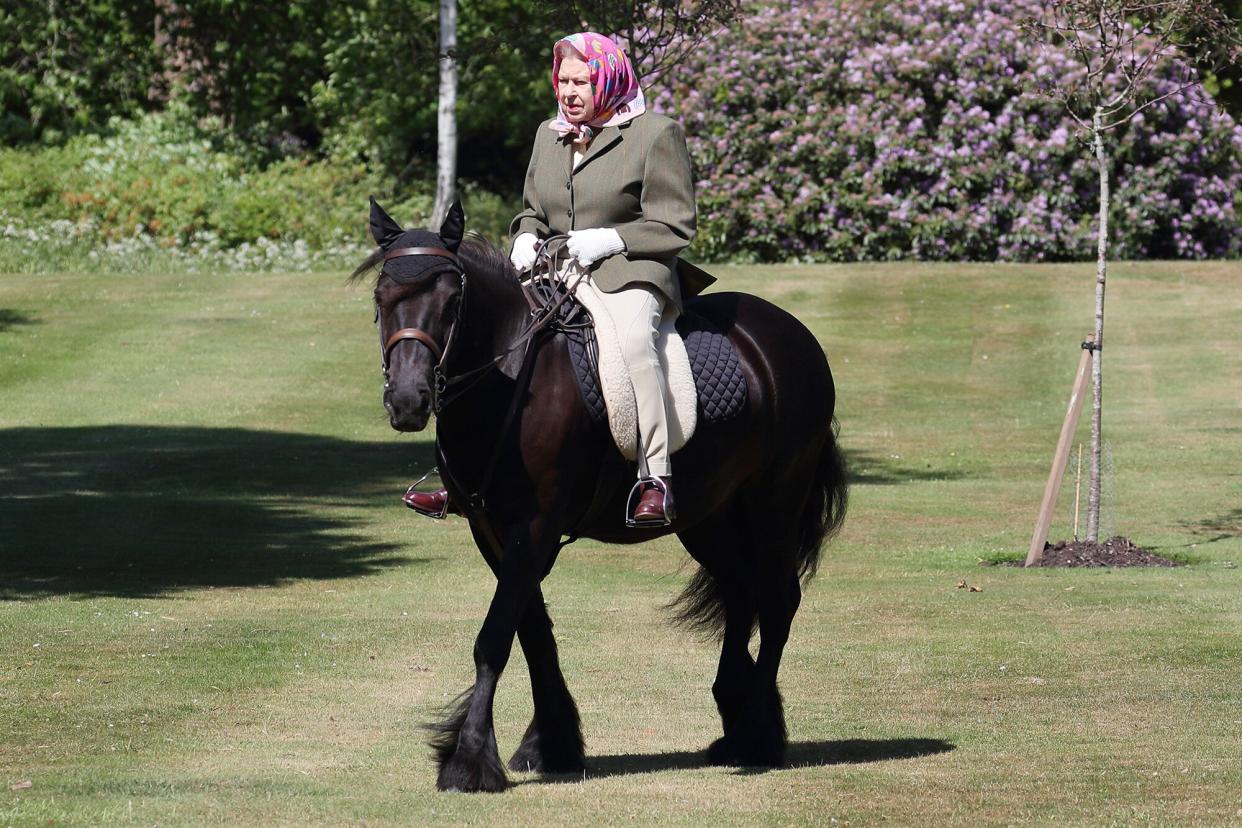 Queen Elizabeth II rides Balmoral Fern, a 14-year-old Fell Pony, in Windsor Home Park over the weekend of May 30 and May 31, 2020 in Windsor, England