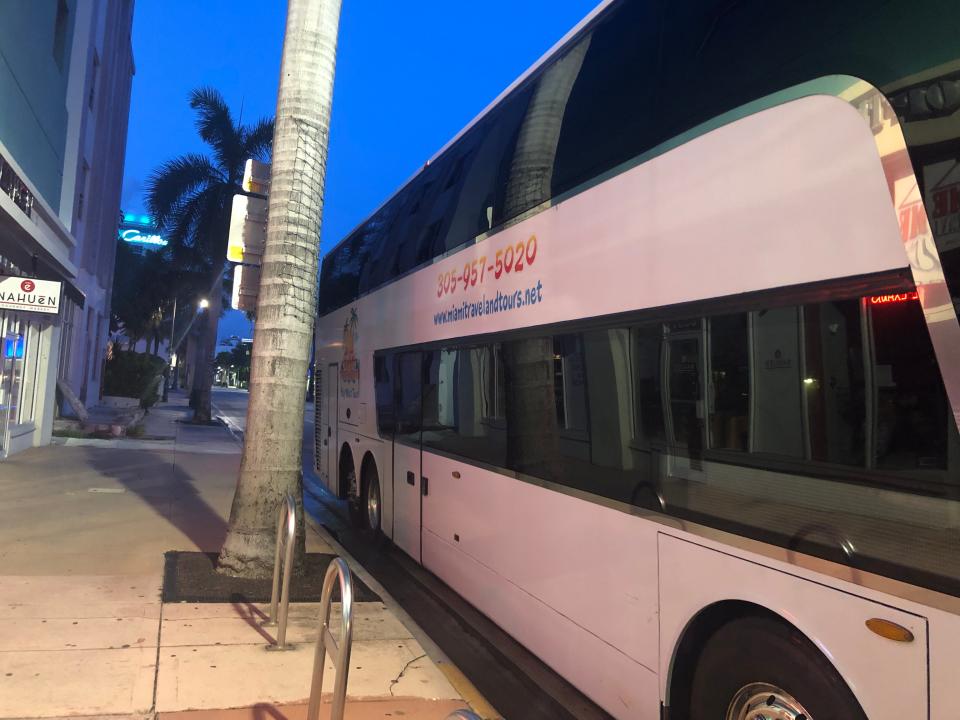 Exterior of a bus next to a palm tree