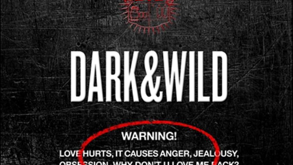 darkwild BTS Album Guide: A Rightfully Exhaustive Breakdown of Their Discography