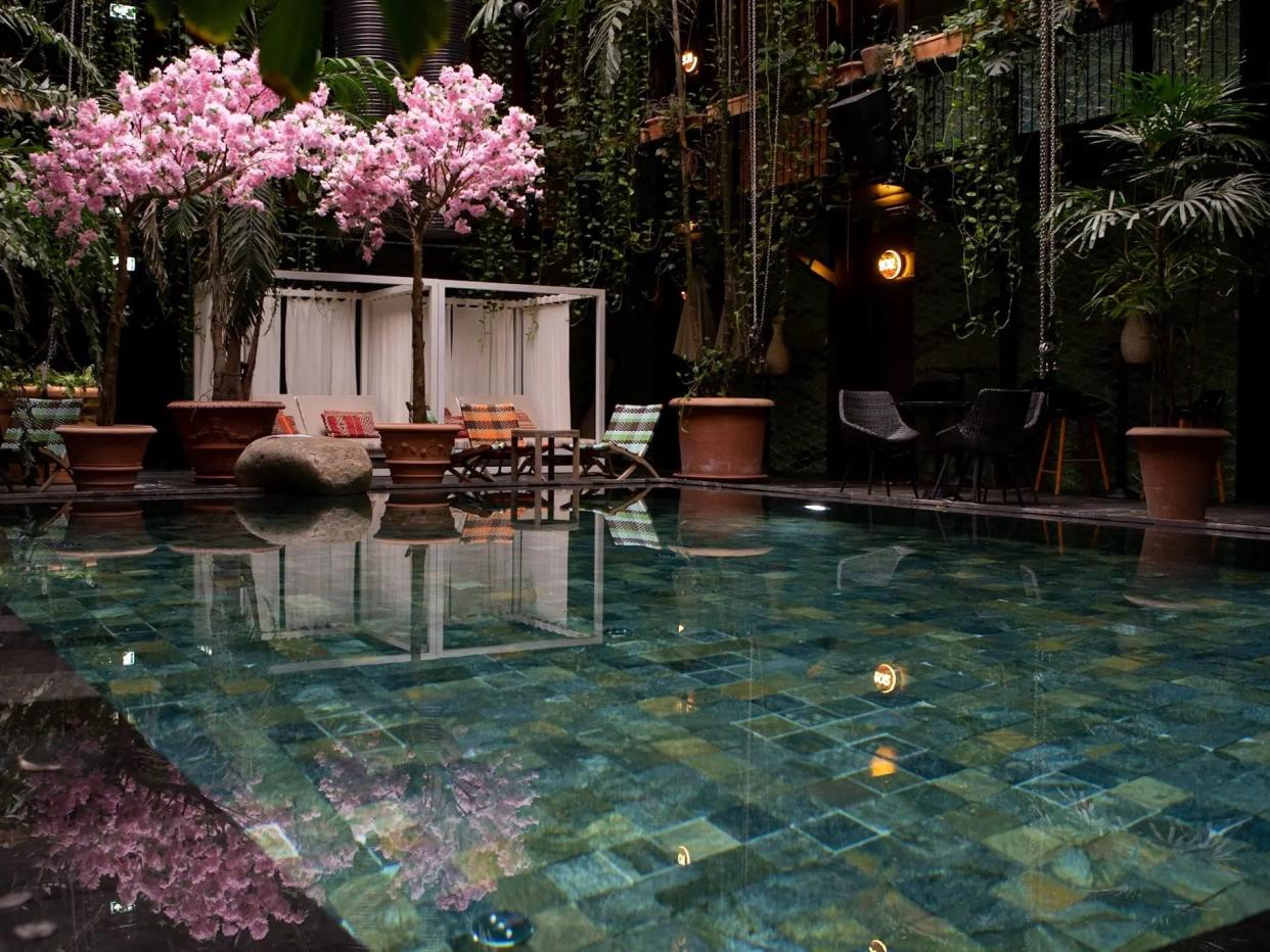 jungle pool hotel