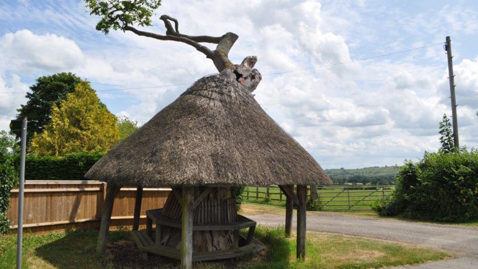 The Mushroom Tree Shelter