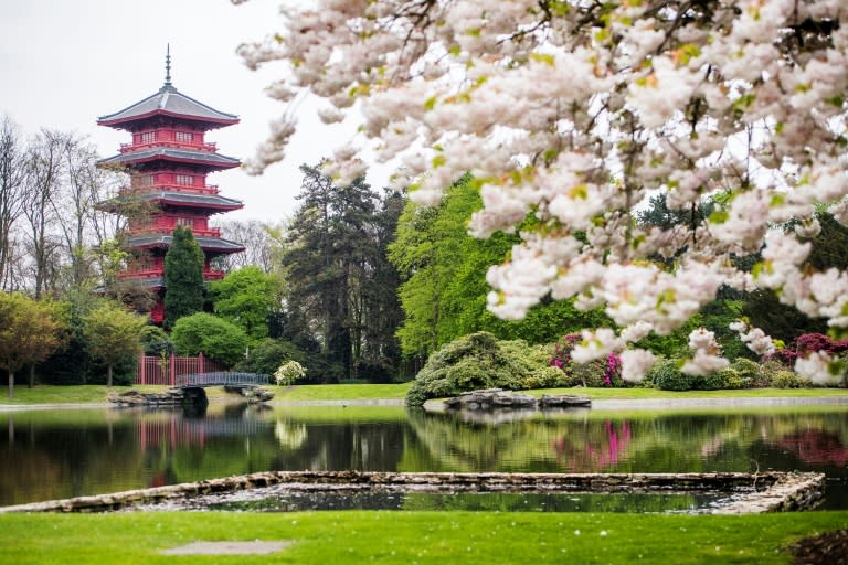 The Royal Greenhouses of Laeken, on April 14, 2017, in Brussels, ahead of the site's opening to the public for three weeks