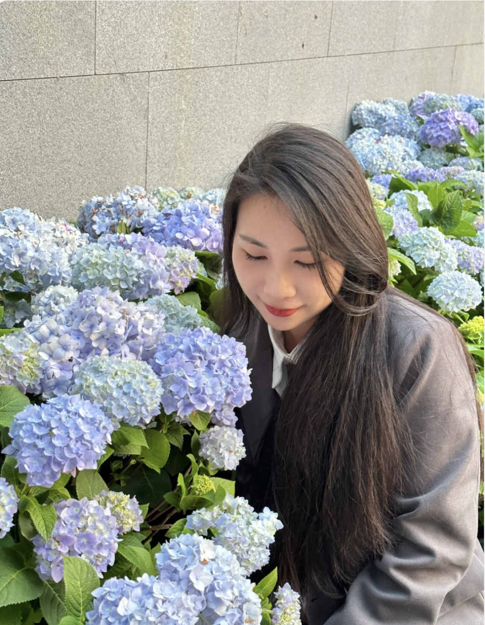 深圳旅遊｜荷蘭花卉小鎮翻新重開！鬱金香、繡球花正在盛放 偽荷蘭莫奈花園成最新打卡點