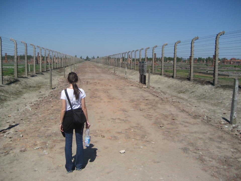 auschwitz barbed wire