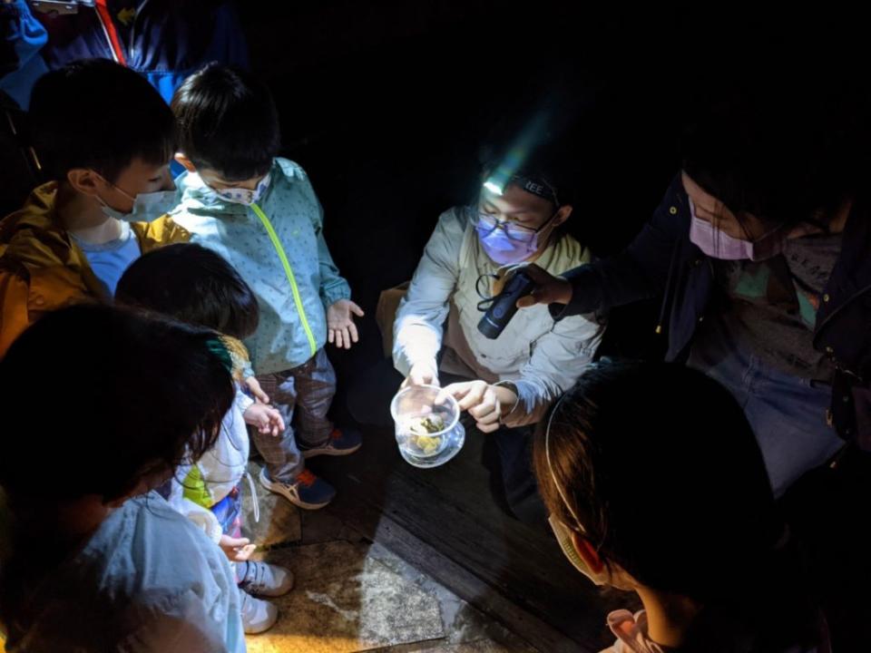 一起夜探貴子坑，友善拜訪夜間生物。（北市大地處提供）