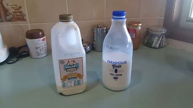 The milk contents of Pauline Hanson's fridge. Source: Facebook/Pauline Hanson Please Explain
