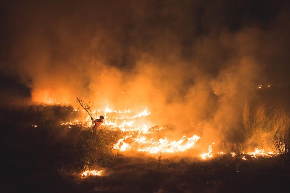 Un joven intenta frenar el avance de un incencio forestal en Yamuna Ghat, Nueva Delhi, India