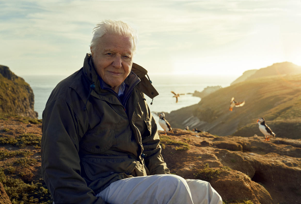 Sir David Attenborough will present a new nature series about the UK. (BBC)