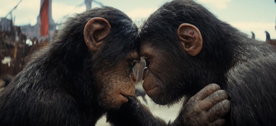 《猿人爭霸戰：猩凶帝國》官方劇照