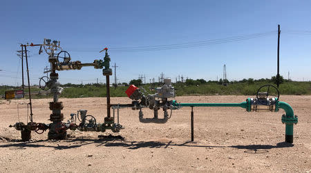 FILE PHOTO: A wellhead is seen at an Occidental Petroleum Corp carbon dioxide enhanced oil recovery project in Hobbs, New Mexico, U.S. on May 3, 2017. Picture taken on May 3, 2017. REUTERS/Ernest Scheyder/File Photo