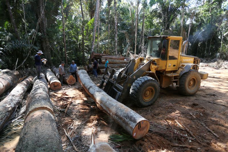 FILE PHOTO: An employee operates a tractor in Bom Retiro deforestation area on the right side of the BR 319 highway near Humaita