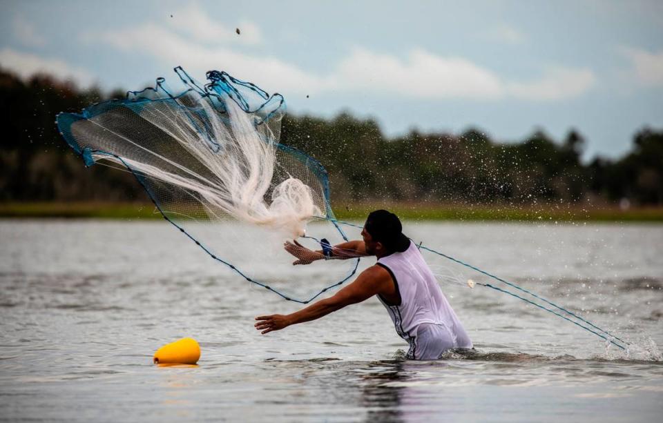 A fisherman casts for bait in an undeveloped section of Murrells Inlet near Huntington Beach State park during a King Tide. Aug. 11, 2021.