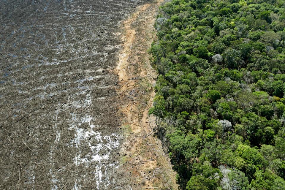 Aerial picture of a deforested area close to Sinop, Mato Grosso State, Brazil, taken on August 7, 2020. / Credit: FLORIAN PLAUCHEUR/AFP via Getty Images