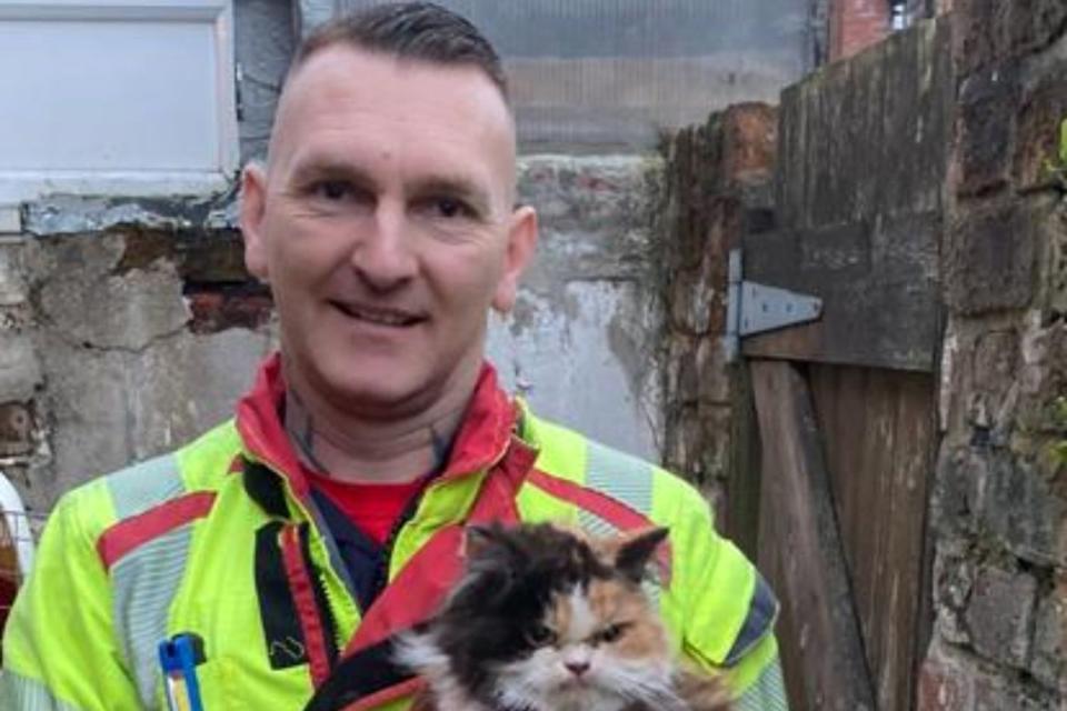 <p>Lancashire Fire and Rescue Service</p> Crew Manager Friar of the Lancashire Fire and Rescue Service holding a grumpy-looking feline he helped rescue
