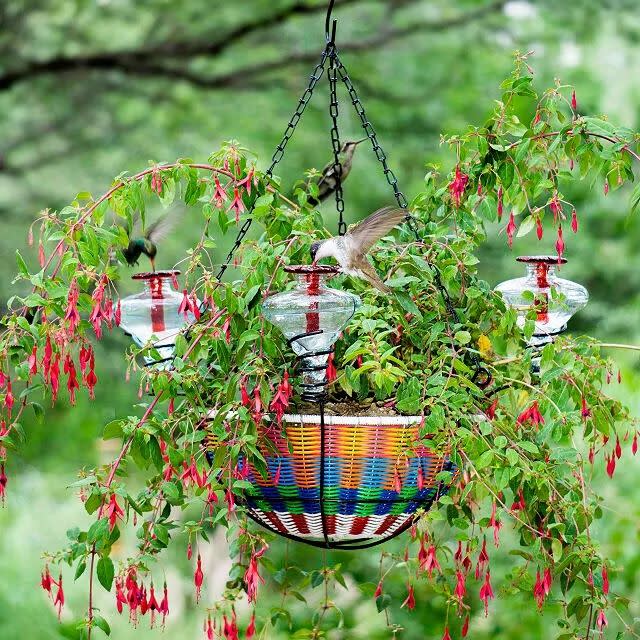 <p><a href="https://go.redirectingat.com?id=74968X1596630&url=https%3A%2F%2Fwww.uncommongoods.com%2Fproduct%2Fhanging-basket-hummingbird-feeder&sref=https%3A%2F%2Fwww.veranda.com%2Fshopping%2Fgarden-products%2Fg61144328%2Fbest-hummingbird-feeders%2F" rel="nofollow noopener" target="_blank" data-ylk="slk:Shop Now;elm:context_link;itc:0;sec:content-canvas" class="link rapid-noclick-resp">Shop Now</a></p><p>Hanging Hummingbird Feeder</p><p>$78.00</p>