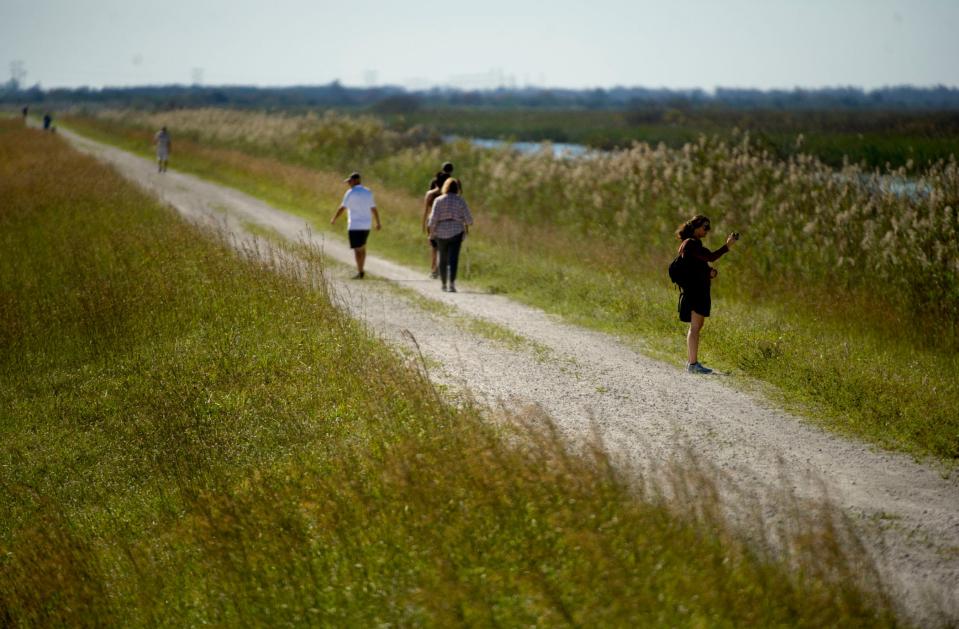 Pedestrians enjoy cool sunny weather while strolling along a perimeter levee at Arthur R. Marshall Loxahatchee National Wildlife Refuge in Boynton Beach Saturday November 27, 2021. The refuge is 143,954 acres of northern Everglades wetlands including wet prairies, sawgrass ridges, sloughs, tree islands, cattail communities, and a 400 acre cypress swamp.