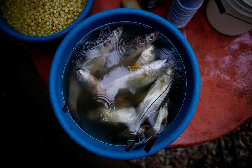 Fresh fish in a bucket lay on the table of a house in the fishing village of Chiltepec