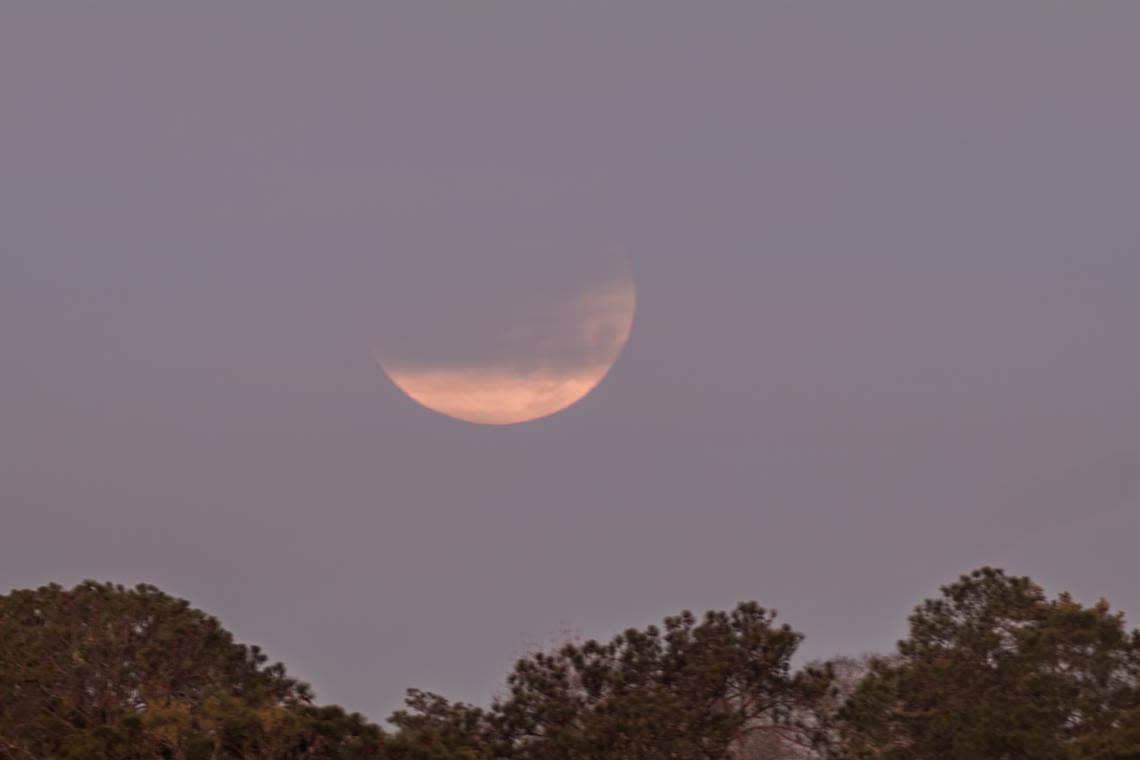 The partial lunar eclipse that took place on Jan. 31, 2018, is seen from Riverside Cemetery in Macon.