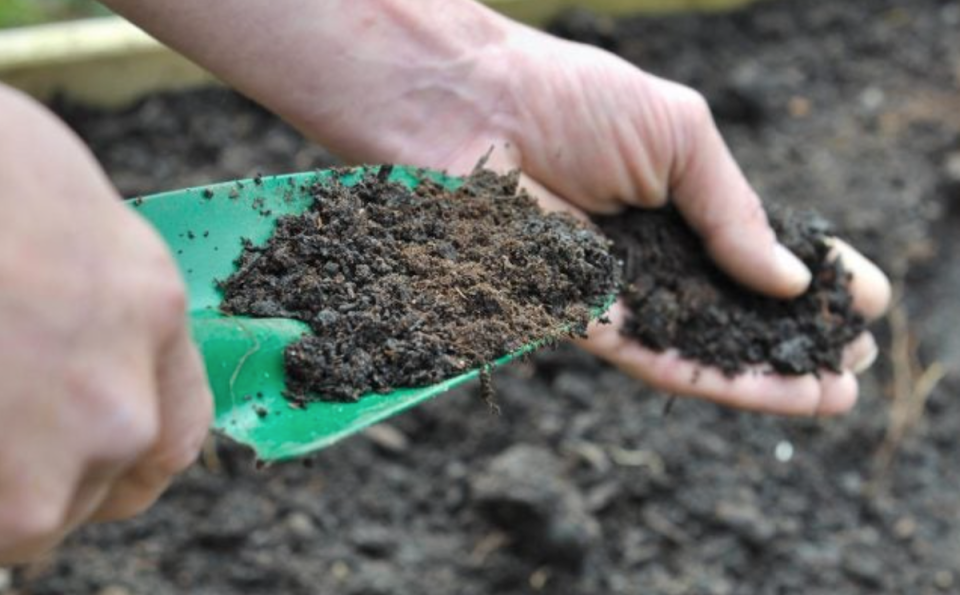 Person spreading compost using a green trowel