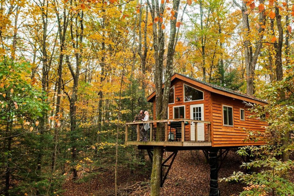 A guest treehouse at Country Road Cabins