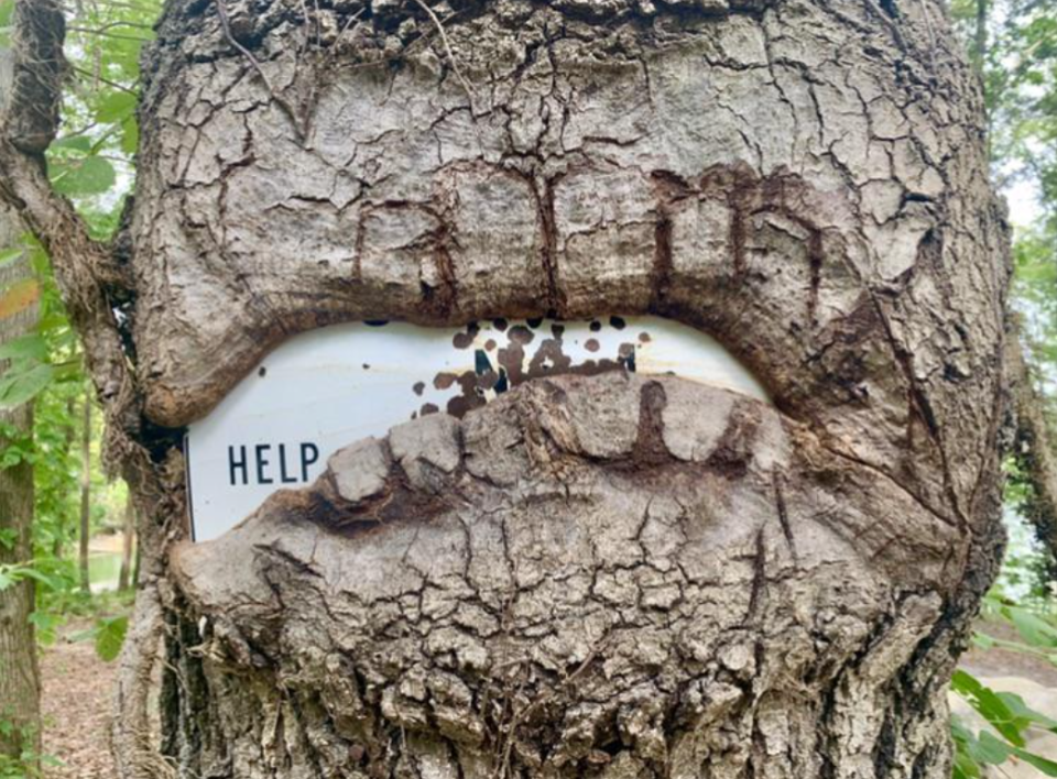 a tree that is engulfing a sign, with only the word "help" visible
