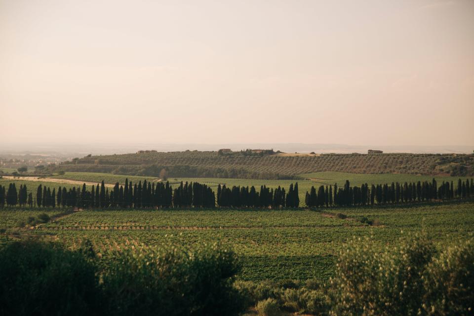 <p><strong>How did it strike you on arrival?</strong><br> Surrounded by gardens and rolling hills, this charming agriturismo is just 40 minutes outside of Rome but feels a world away. Out here, you're surrounded by the olive groves and vineyards of Frascati, whose wines have D.O.C.G. status (the highest designation for Italian wines). A farmhouse built in the early 20th century lies at the heart of the property, and on a clear day, you can see the <a href="https://www.cntraveler.com/activities/rome/st-peters-basilica-cupola?mbid=synd_yahoo_rss" rel="nofollow noopener" target="_blank" data-ylk="slk:Cupola of St. Peter's;elm:context_link;itc:0;sec:content-canvas" class="link ">Cupola of St. Peter's</a> in the distance.</p> <p><strong>What’s the crowd like?</strong><br> You might encounter day trippers from Rome touring the vineyards or oenophiles from farther afield staying on the property.</p> <p><strong>The good stuff: Tell us about your room.</strong><br> Rooms in the farmhouse are simply furnished with tile floors, rustic furnishings, and balconies. They range in size from single rooms to apartment-style suites with kitchenettes.</p> <p><strong>Maybe the most important topic of all: Wi-Fi. What’s the word?</strong><br> The hotel provides free Wi-Fi.</p> <p><strong>Anything stand out about other services and features? Whether it’s childcare, gyms, spas, even parking—whatever stuck with you.</strong><br> The winery is the real standout feature of this property, and many people come just to tour it for an afternoon without staying at the inn. You can book a guided tour and tasting paired with local cheeses and salumi for a pleasant afternoon in the countryside.</p> <p><strong>What was most memorable—or heartbreaking—about your stay?</strong><br> The hotel isn't winning any design awards, but you're not here for a fashionable stay; you're here for the food and wine.</p> <p><strong>Bottom line: worth it, and why?</strong><br> This agriturismo in Frascati is a great option if you want a countryside escape with great food and wine less than an hour from Rome.</p>