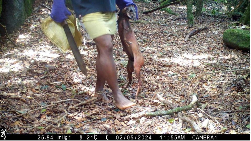 Hunters in the Mabu Forest