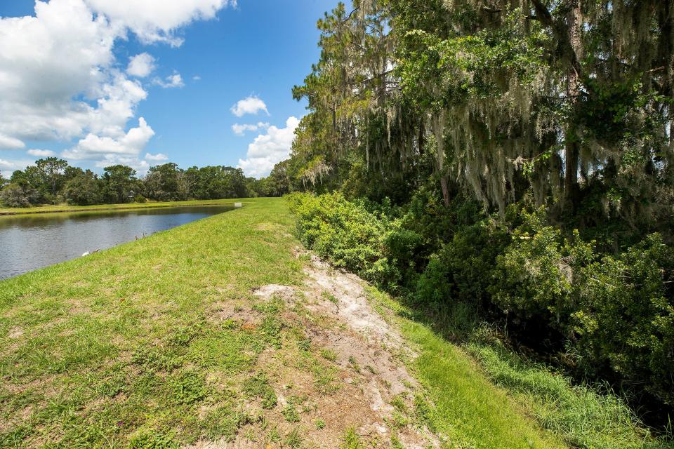 Imperial Lakes resident David Kolodziej says the drainage ditch that runs along the retention pond of neighboring Belmont Park is clogged, causing flooding at his home.