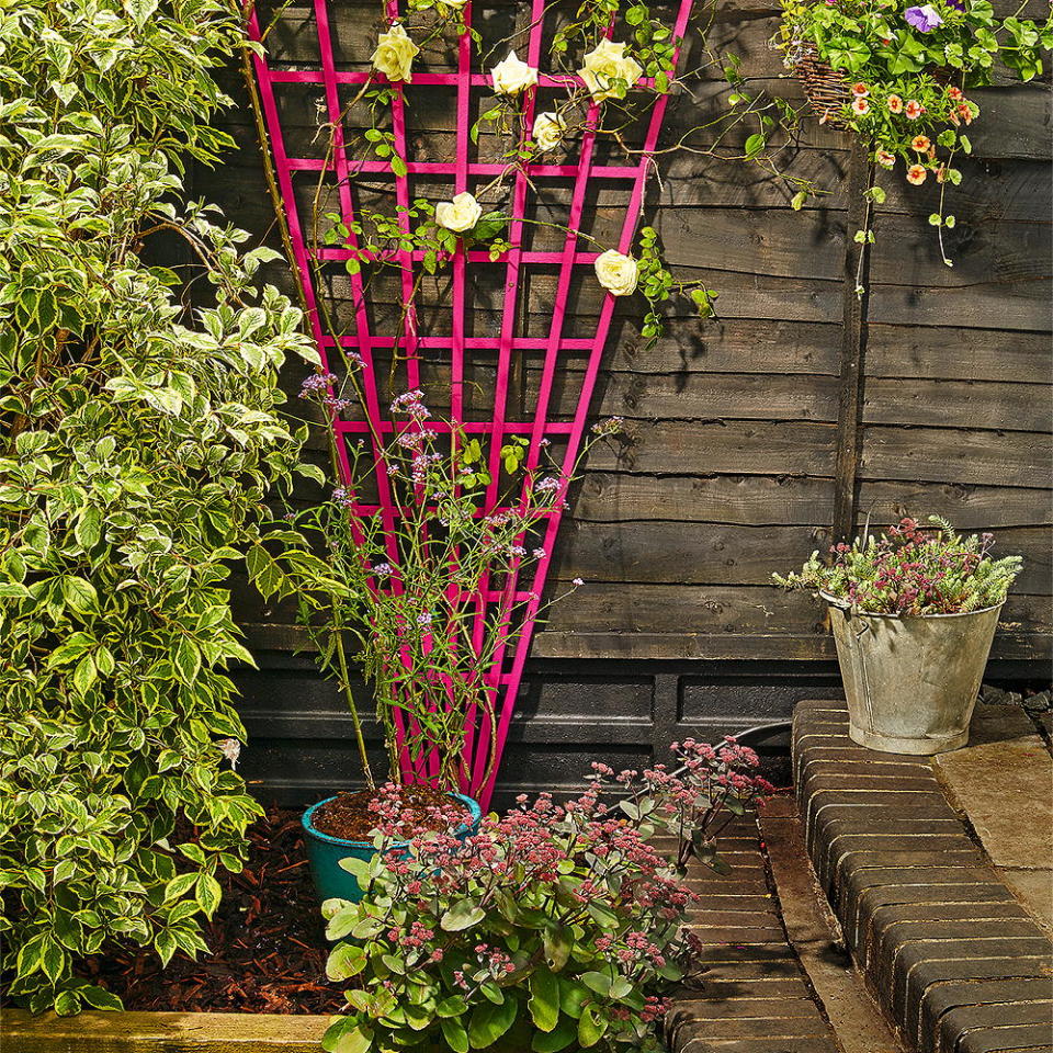 Bolt-on a neon pink trellis