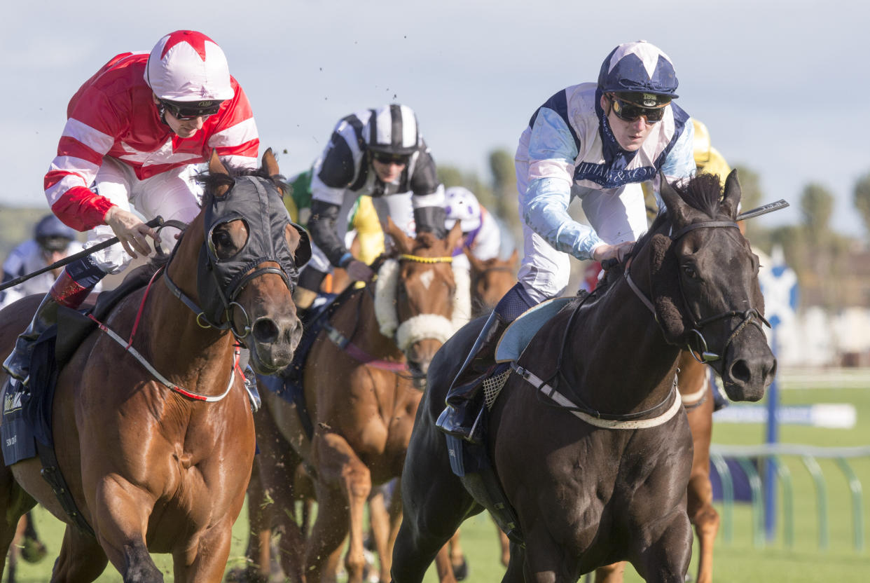 Son Of Rest and Baron Bolt (right) could not be split at the line