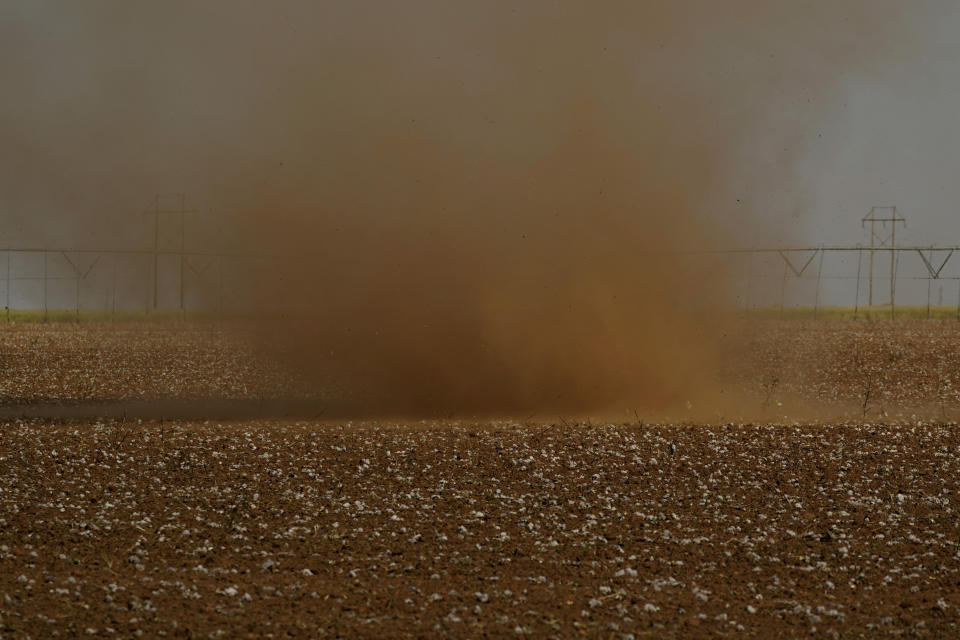 A dust devil blows across a shredded cotton field, Tuesday, Oct. 4, 2022, near Halfway, Texas. Extreme heat and a dearth of rainfall have severely damaged much of this year's cotton harvest in the U.S., which produces about 35% of the world's crop. (AP Photo/Eric Gay)