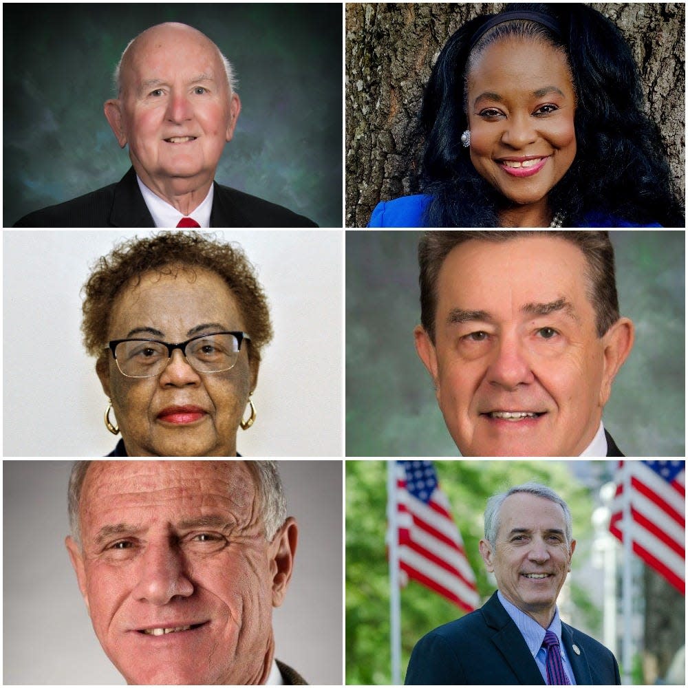 Six Democrats and two Republicans are running for the two at-large seats on the Cumberland County Board of Commissioners.