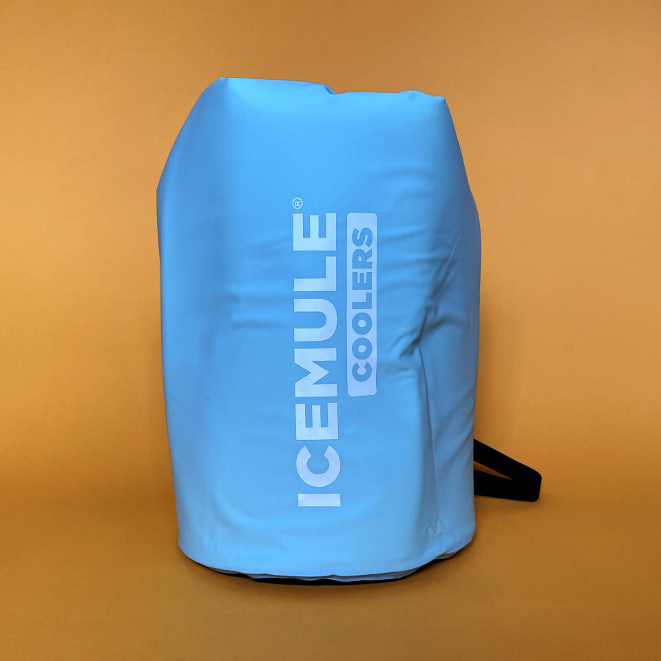 ICEMULE Classic Medium 15L Backpack Cooler