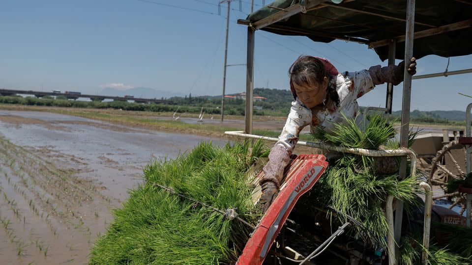 La siembra de un agricultor se retrasa debido a las fuertes lluvias en la provincia de Jiangxi el 5 de julio. - Tingshu Wang/Reuters