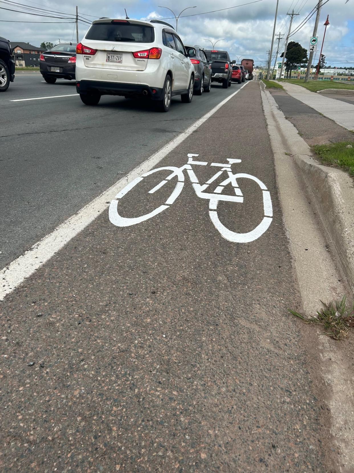 A bike lane symbol painted on University Avenue this week. (Laura Meader/CBC - image credit)