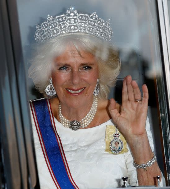 PHOTO: Camilla, Duchess of Cornwall attends a State Banquet at Buckingham Palace, July 12, 2017 in London. (Max Mumby/Indigo via Getty Images)