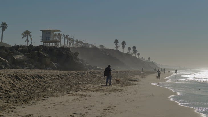 <span class="article__caption">The off-leash dog area at Huntington Beach</span> (Photo: bfinley/Getty)