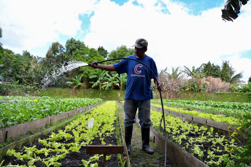 Members of the National Association of State Departments of Agriculture (NASDA) visit Cuba