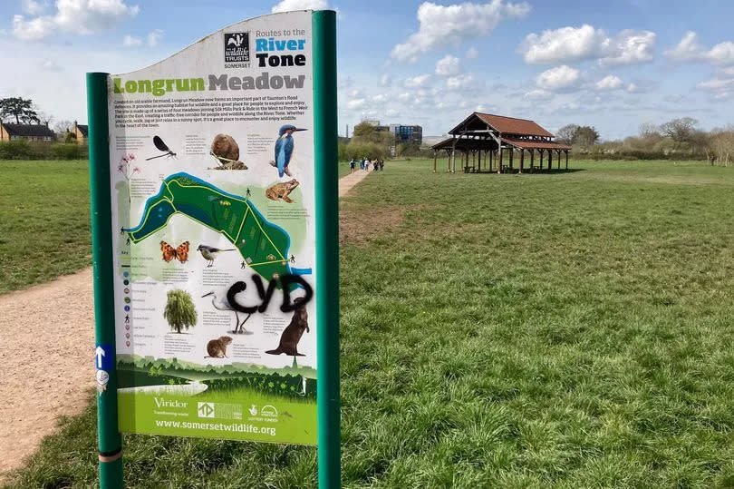 Longrun Meadow in Taunton