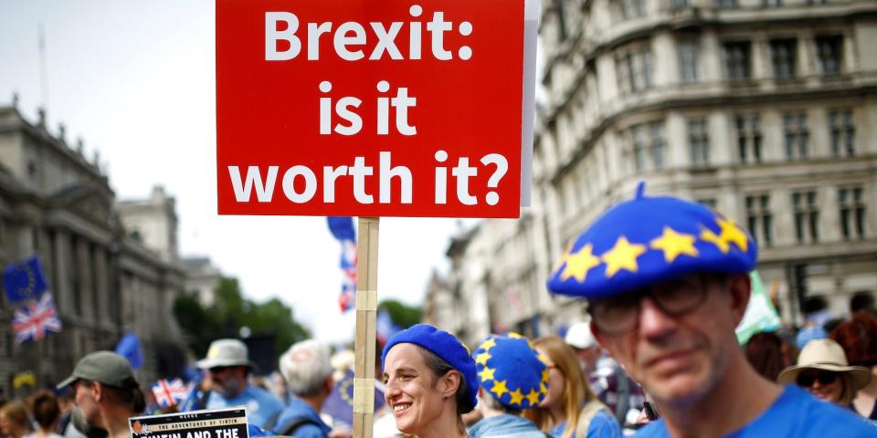 Brexit protester