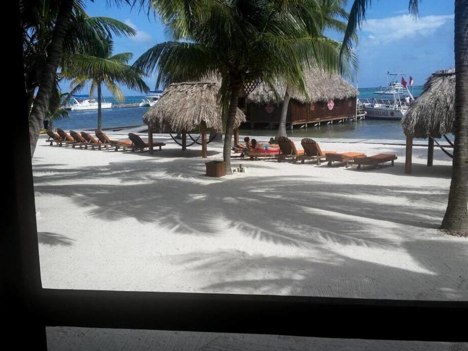 The view from a thatched-roof cabana at Ramon’s Village in San Pedro, Belize, with dive boats tied up to the pier in the distance. Ramon’s is one of the oldest dive companies in Belize; over 40 dive sites are within a 15 minute boat ride.