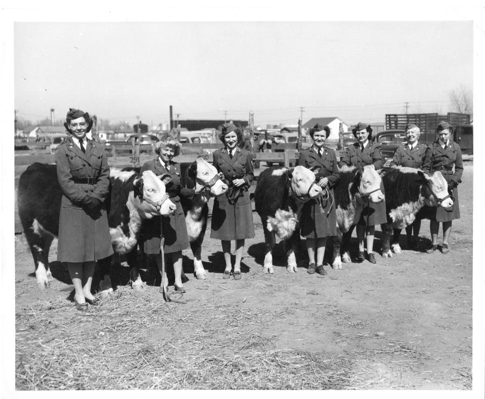 Air Force women stand with prize cattle in this 1940s-era photo from the Tri-State Fair.