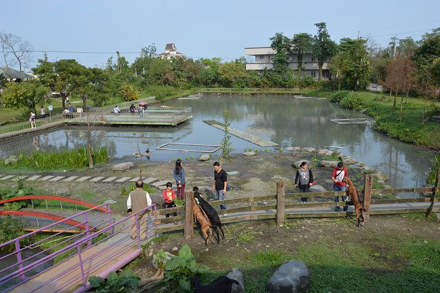 宜農牧羊場17