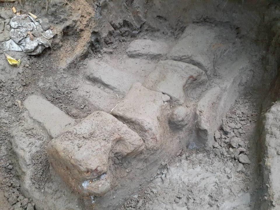 La excavación reveló la vértebra fosilizada de la ballena. Foto de la Universidad Nacional Cheng Kung.