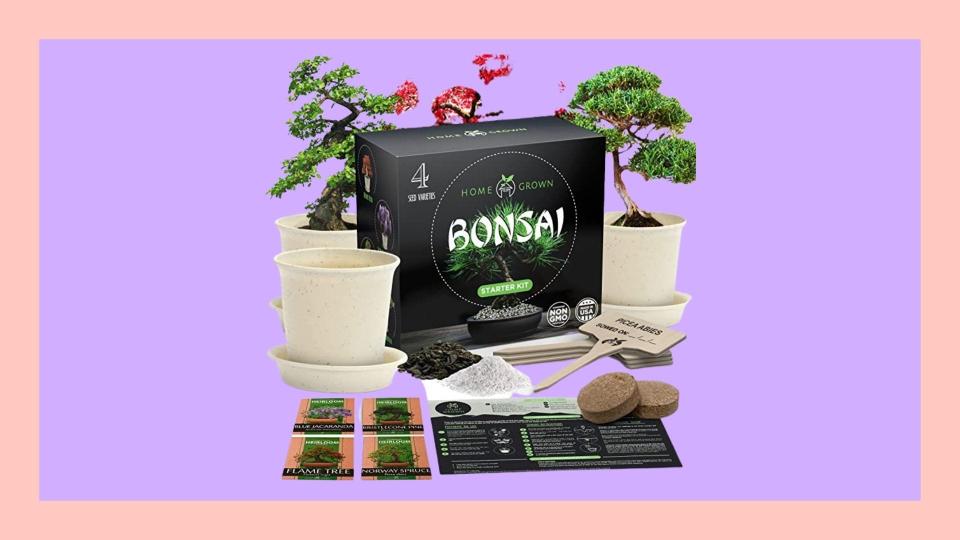 Best gifts for plant moms: Bonsai Tree Starter Kit.