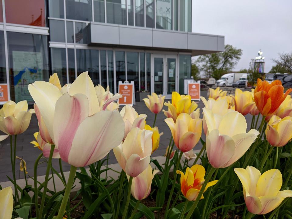 The 2023 Tulip Time Festival will take place May 6-14.